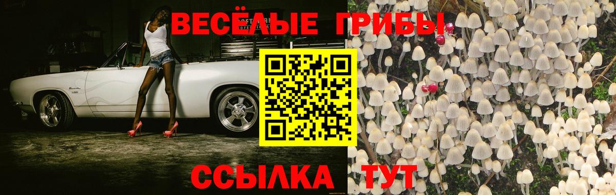 Галлюциногенные грибы MAGIC MUSHROOMS  Вход с VPN  Краснодар  Псилоцибиновые грибы мухоморы 