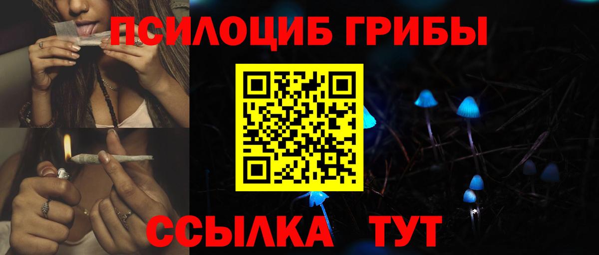Псилоцибиновые грибы прущие грибы Краснодар